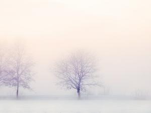 sursa imagine: pixabay.com