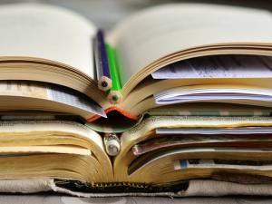 sursa foto: pixabay.com