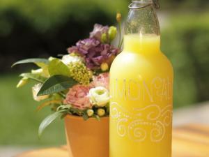 Sursa foto: pixabay.com