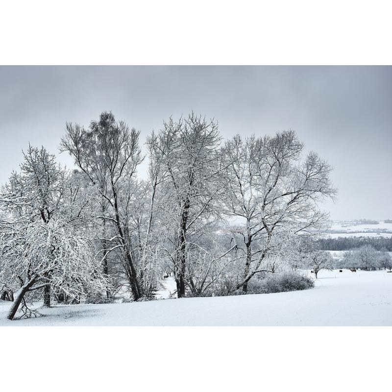 sursa imagine: pixabay