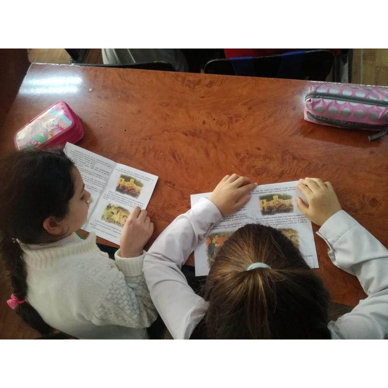 Sursa foto: sieuinvat.ro