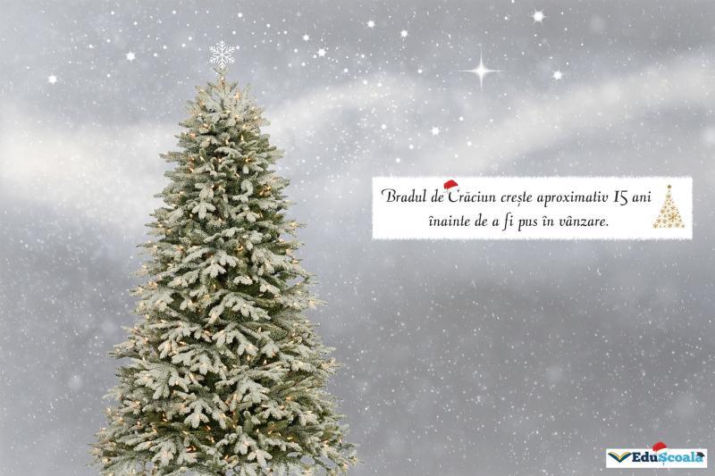 Felicitare crăciun 08