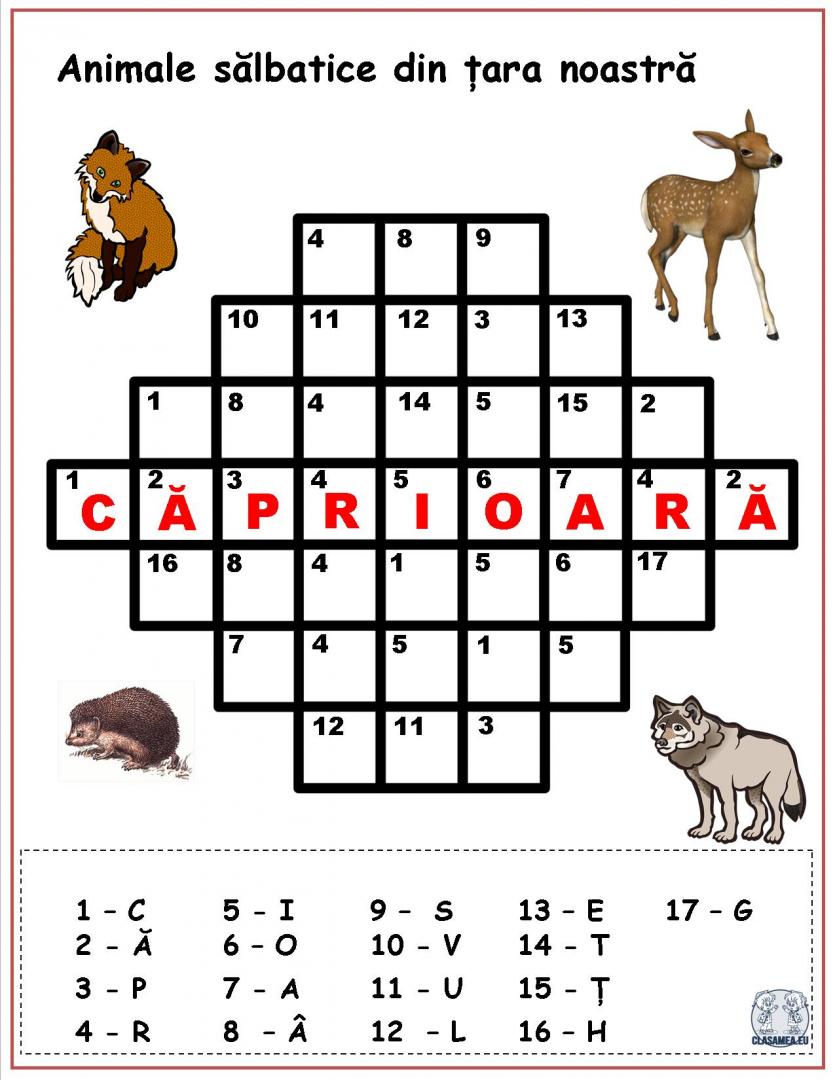 Cuvinte codificate. Animale sălbatice din țara noastră
