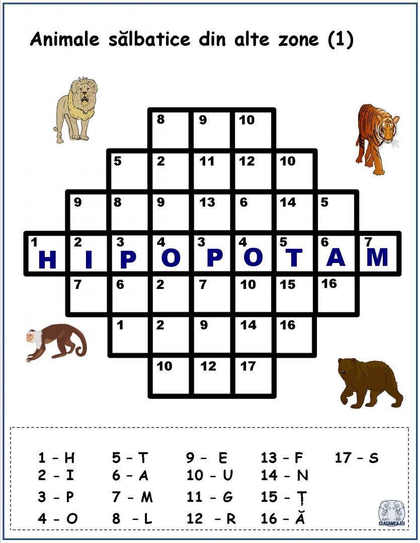 Cuvinte codificate. Animale sălbatice din alte zone (1)