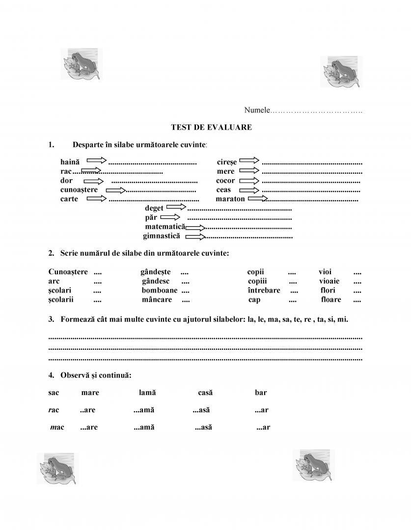 TEST  DE  EVALUARE