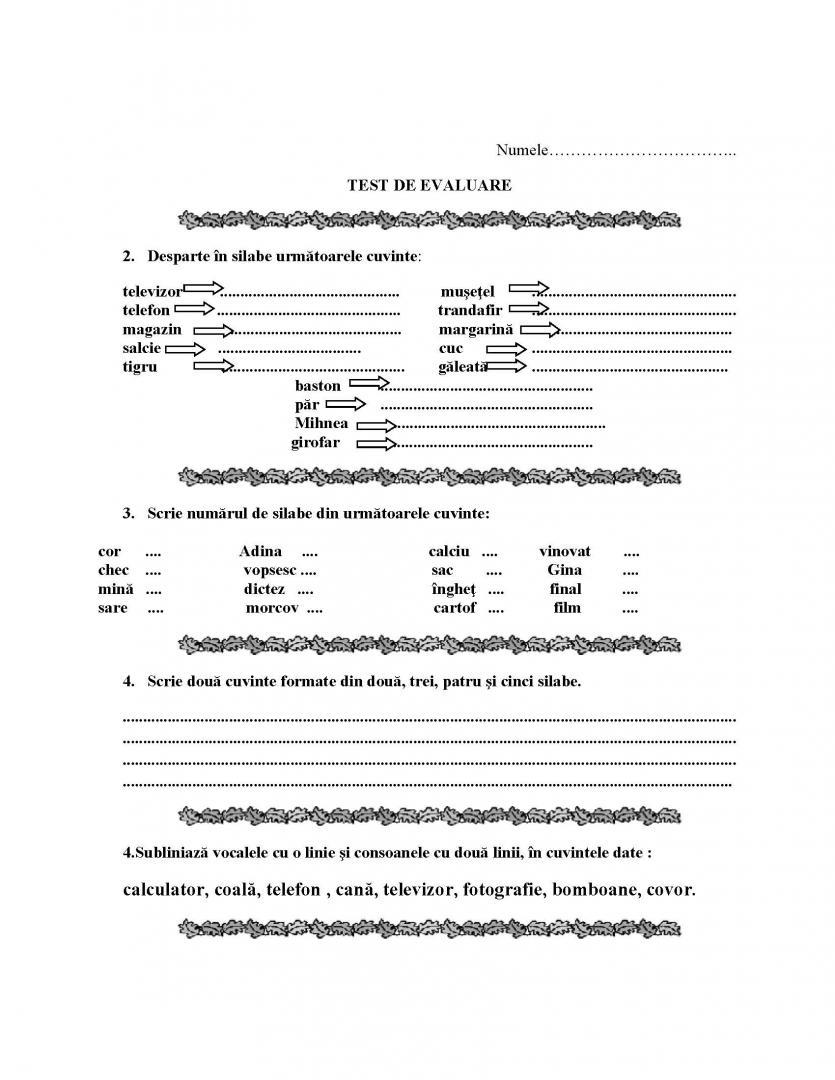 TEST  DE  EVALUARE