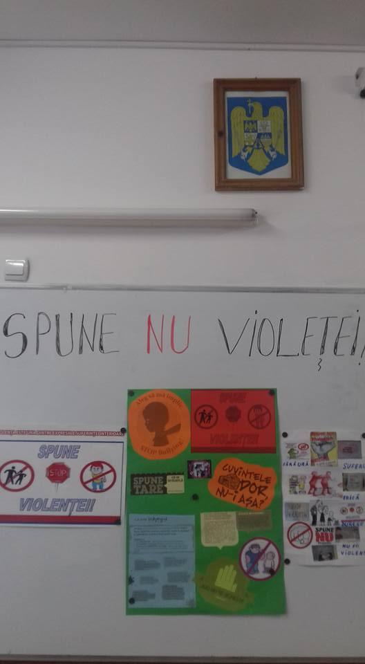 Materiale realizate de elevii clasei a IV a C, Școala Gimnazială ,,Miron Costin” Suceava