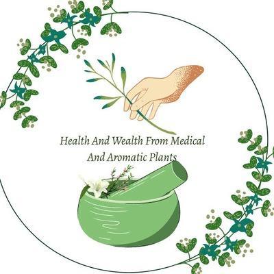 Health and Wealth from Medicinal and Aromatic Plants