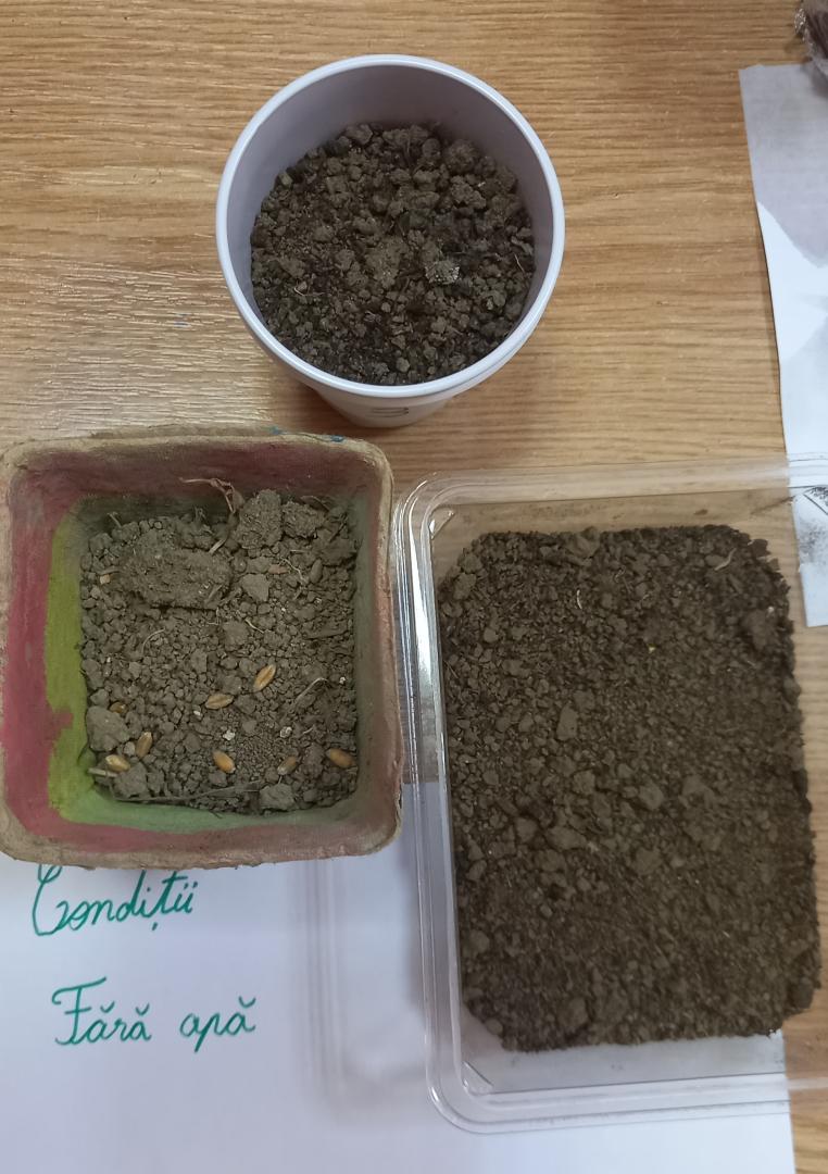 Concluzii- mediu lipsit de apă